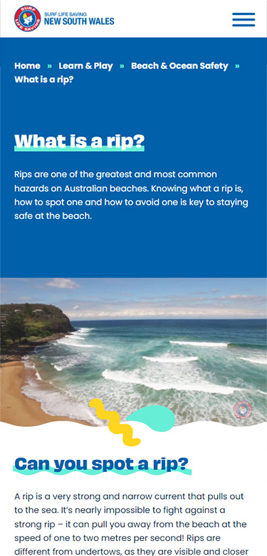 Surf Life Saving NSW - Online Resource Portal Design by Code and Visual - mobile screenshot 3